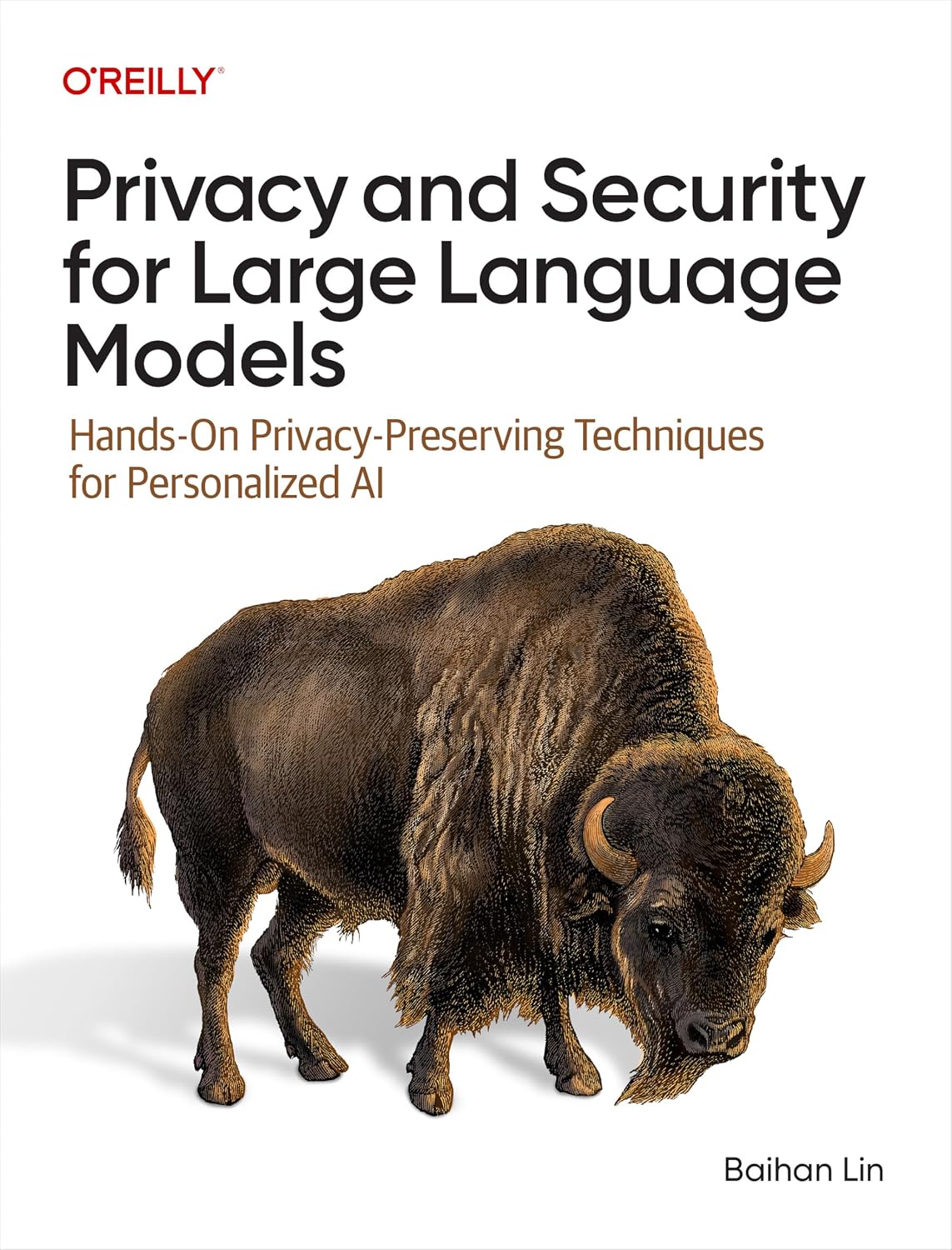 Privacy and Security for Large Language Models: Hands-On Privacy-Preserving Techniques for Personalized AI cover
