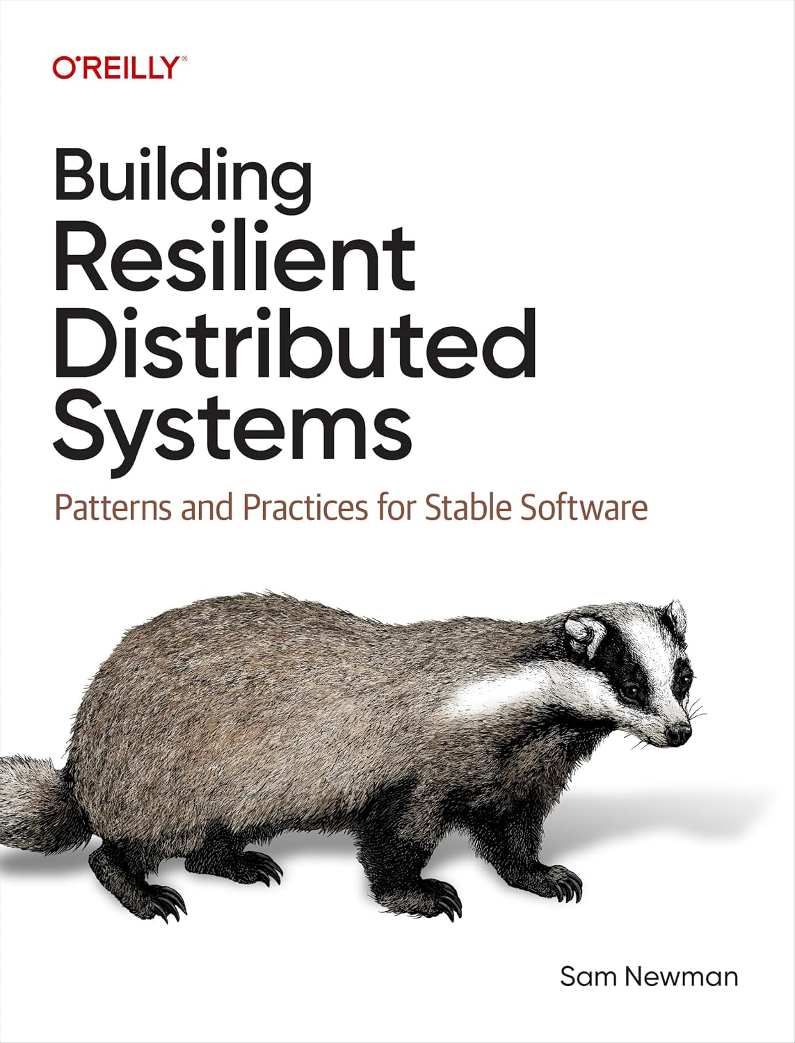 Building Resilient Distributed Systems: Patterns and Practices for Stable Software cover