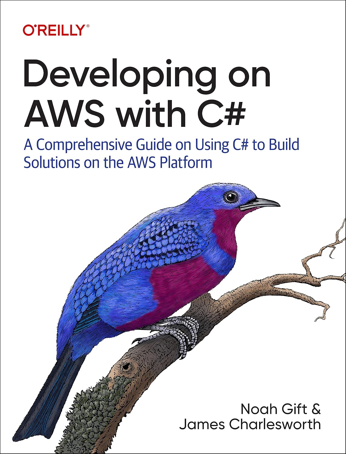 Developing on AWS with C#: A Comprehensive Guide on Using C# to Build Solutions on the AWS Platform cover