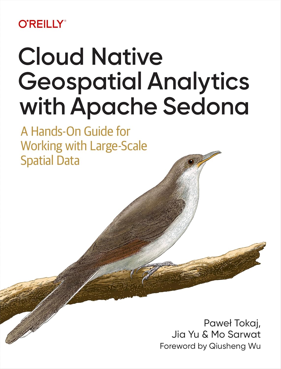 Cloud Native Geospatial Analytics with Apache Sedona: A Hands-On Guide for Working with Large-Scale Spatial Data cover
