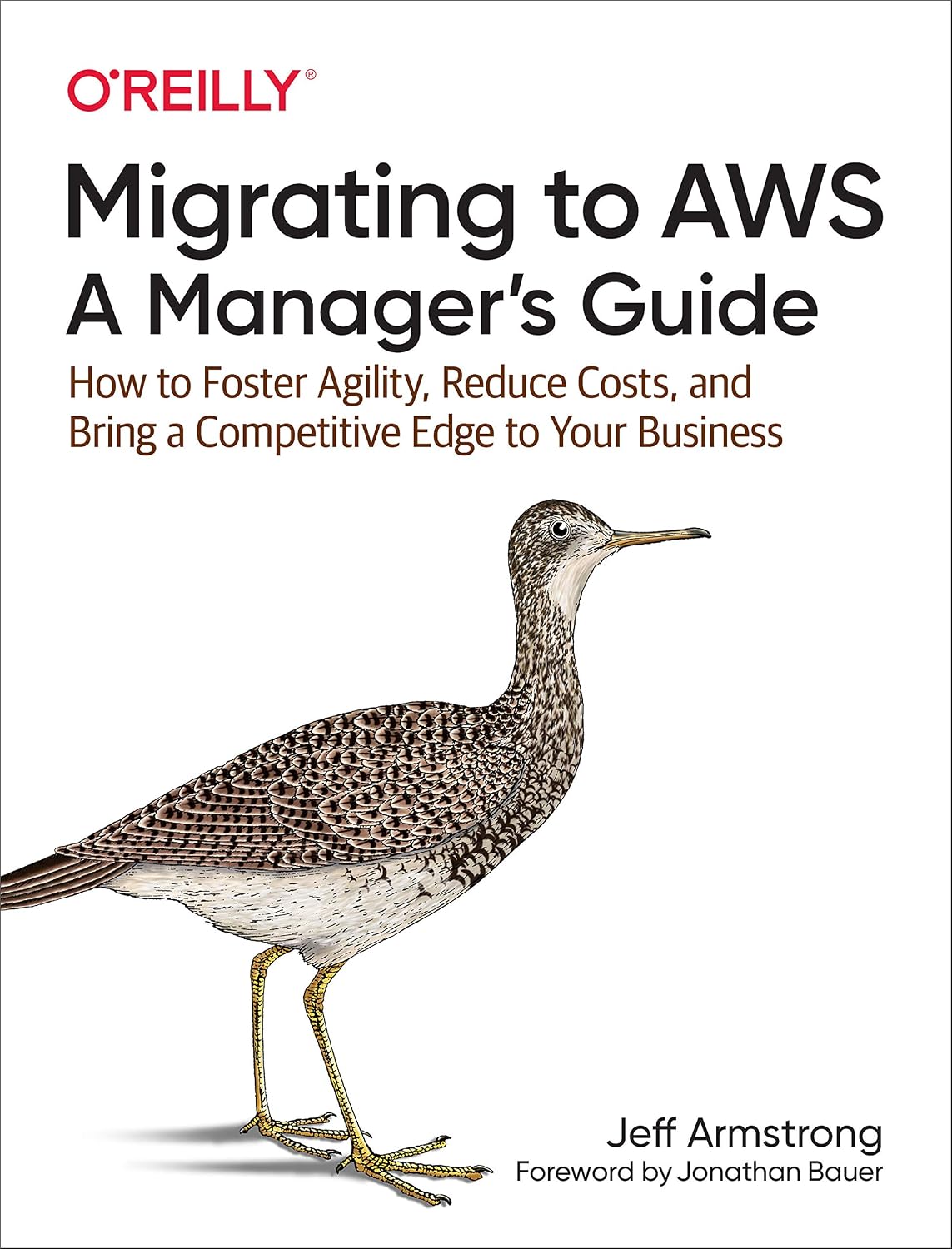 Migrating to AWS: A Manager's Guide: How to Foster Agility, Reduce Costs, and Bring a Competitive Edge to Your Business cover