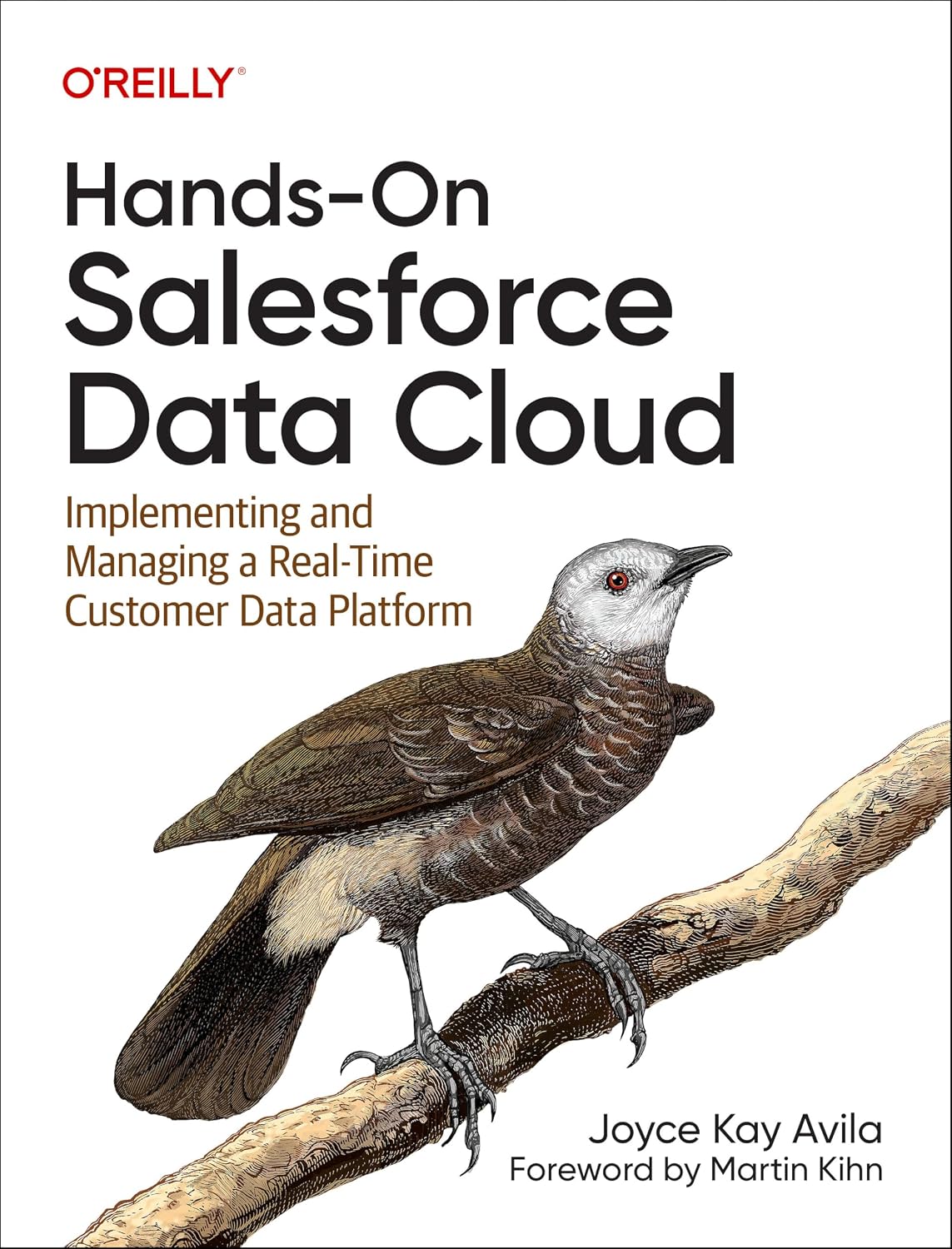 Hands-On Salesforce Data Cloud: Implementing and Managing a Real-Time Customer Data Platform cover