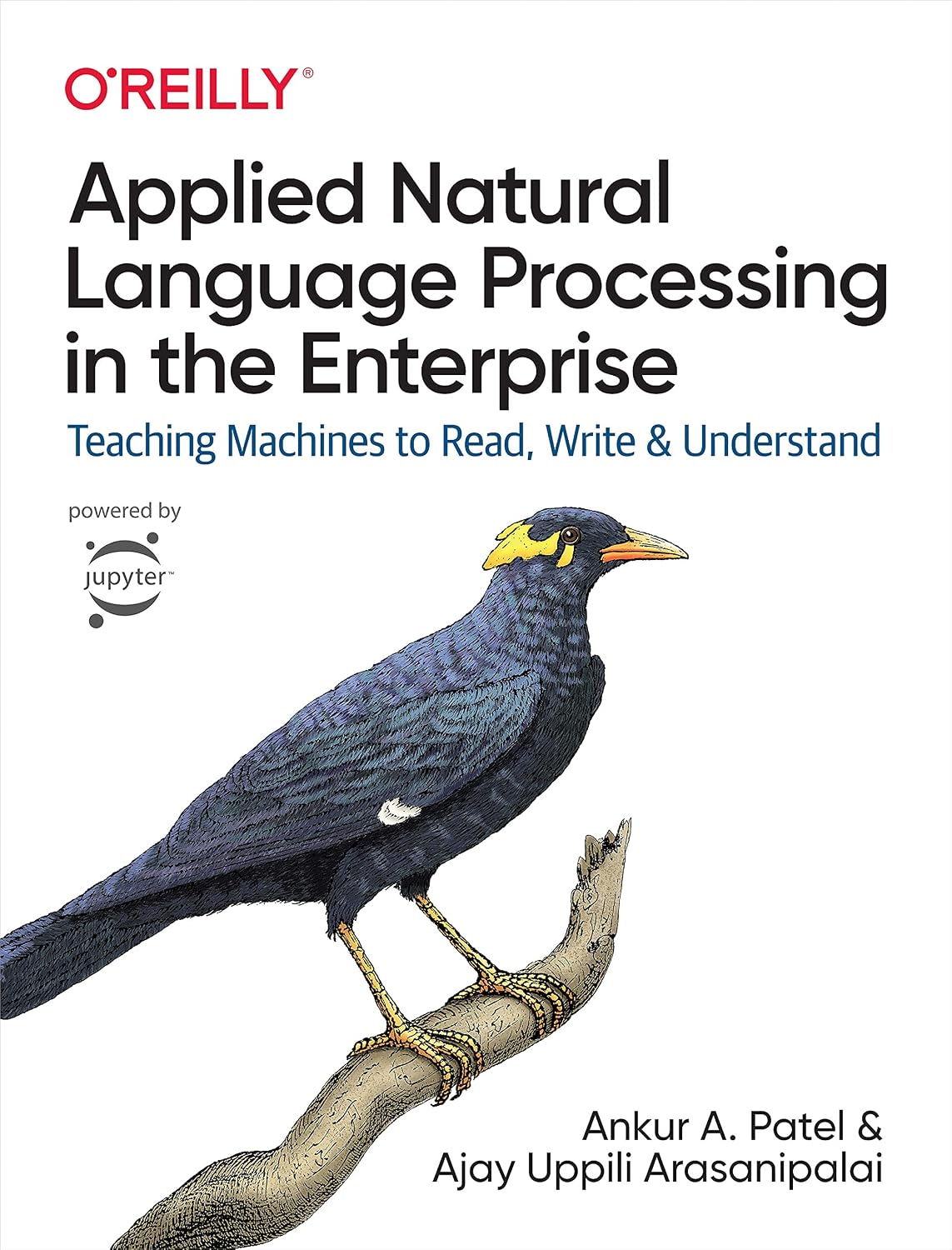 Applied Natural Language Processing in the Enterprise: Teaching Machines to Read, Write, and Understand cover
