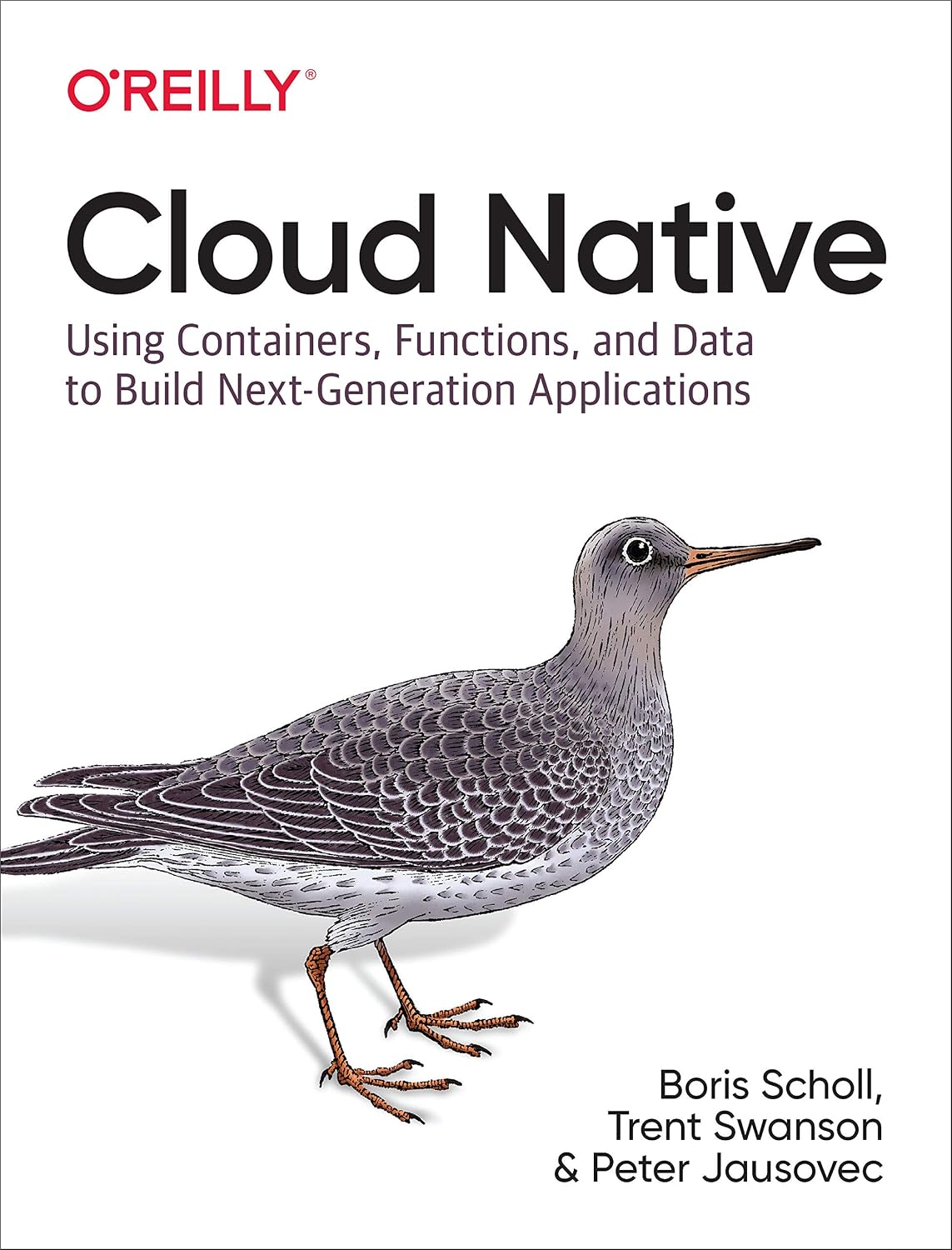 Cloud Native: Using Containers, Functions, and Data to Build Next-Generation Applications cover