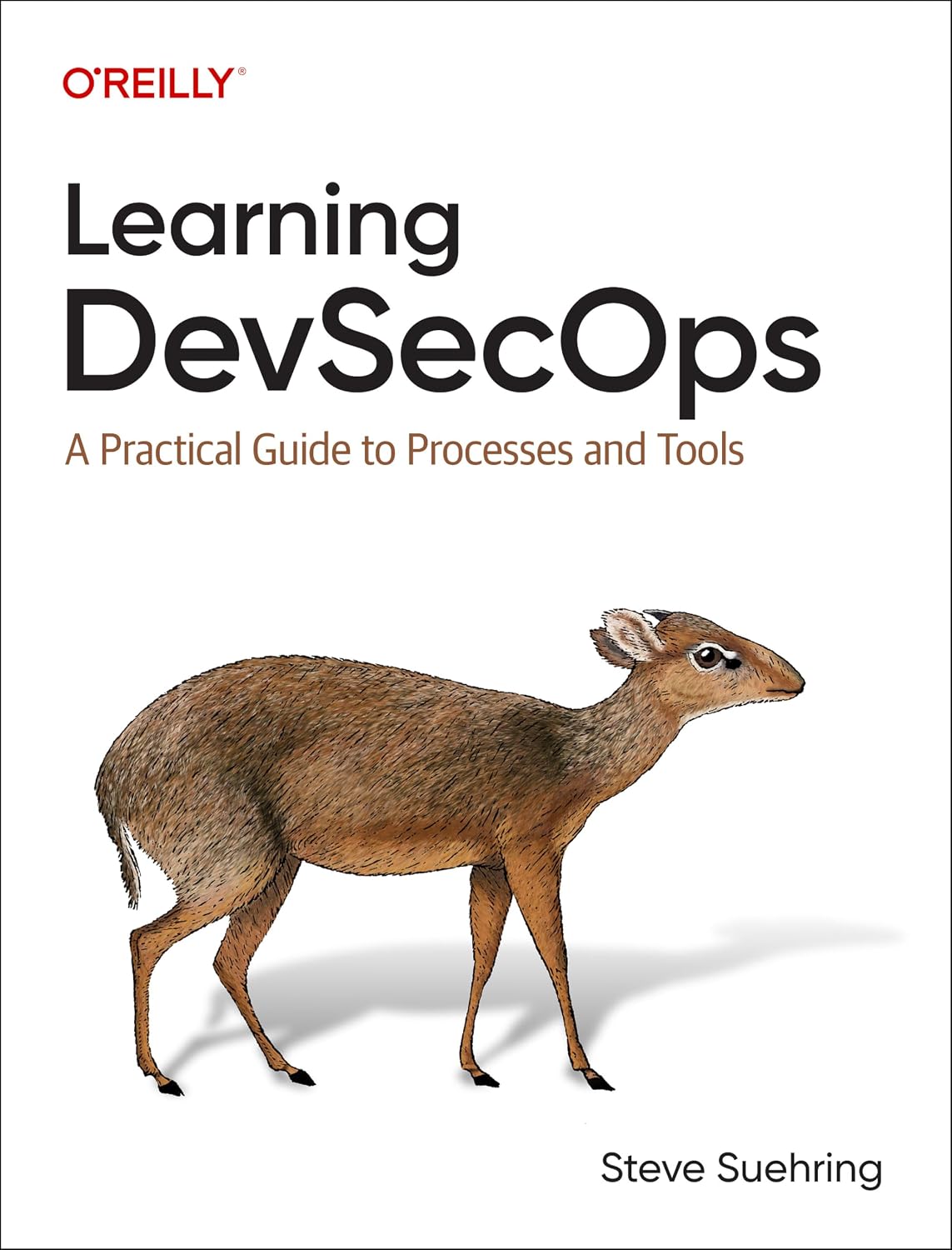 Learning DevSecOps: A Practical Guide to Processes and Tools cover