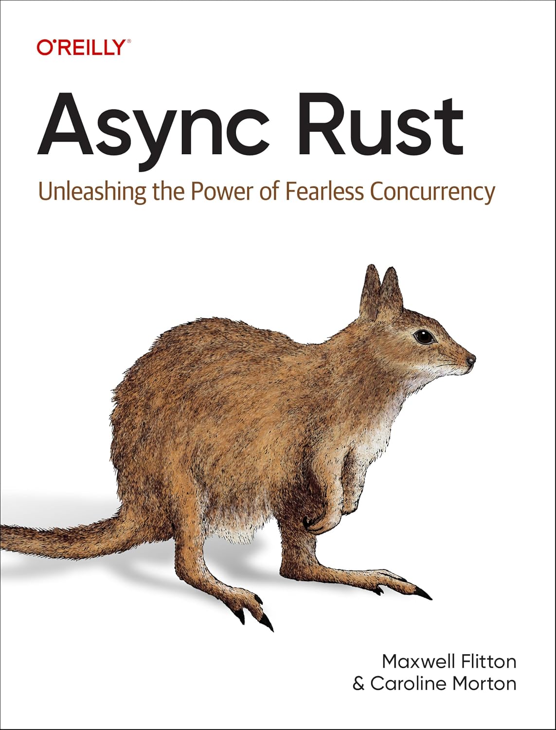Async Rust: Unleashing the Power of Fearless Concurrency cover