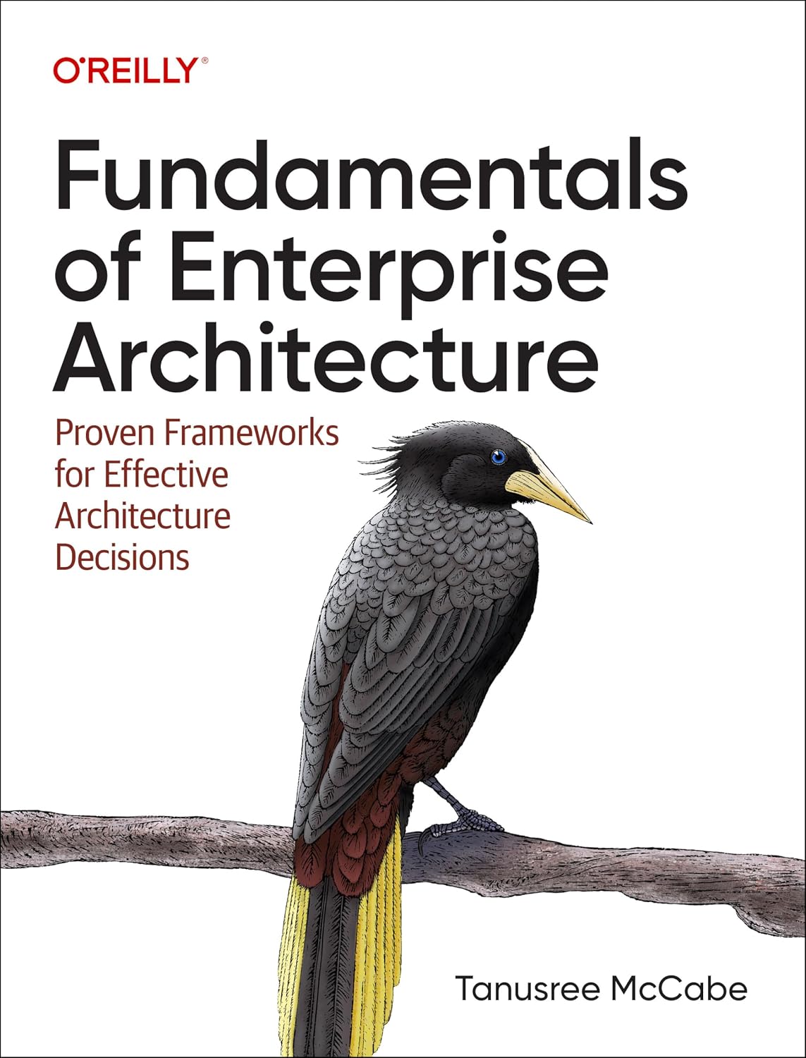 Fundamentals of Enterprise Architecture: Proven Frameworks for Effective Architecture Decisions cover
