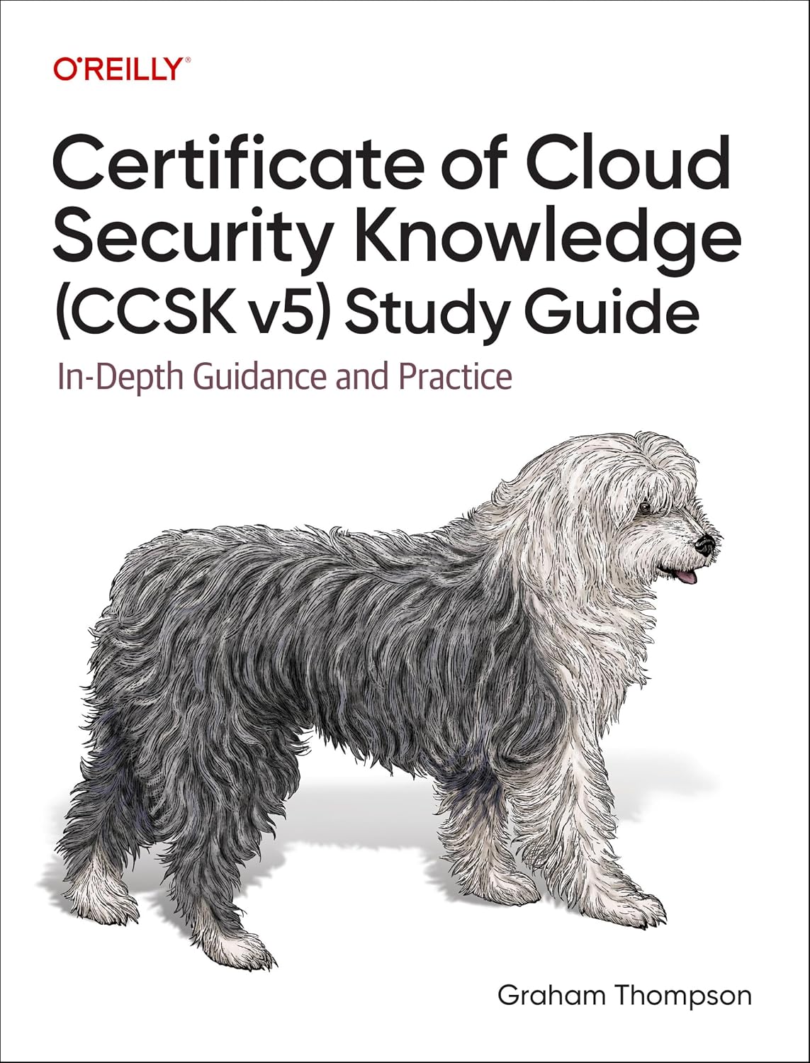 Certificate of Cloud Security Knowledge (CCSK v5) Study Guide: In-Depth Guidance and Practice cover